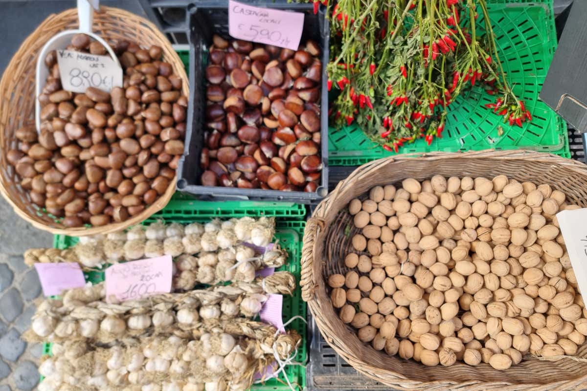 Via Francigena nel Lazio: un viaggio lento tra borghi, laghi,  mare e sapori veri